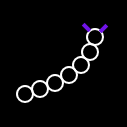 oruga